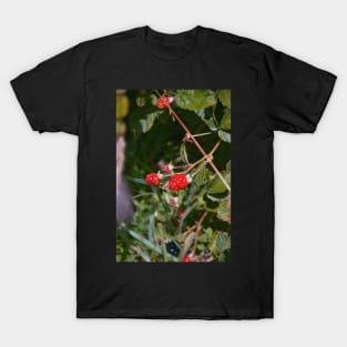 Berry Sweet T-Shirt